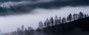 Preview wallpaper fog, clouds, hills, trees, nature