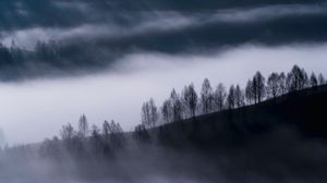 Preview wallpaper fog, clouds, hills, trees, nature