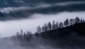 Preview wallpaper fog, clouds, hills, trees, nature