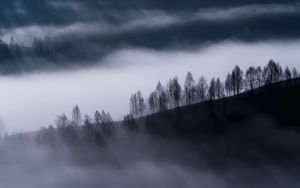 Preview wallpaper fog, clouds, hills, trees, nature