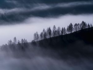 Preview wallpaper fog, clouds, hills, trees, nature