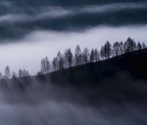 Preview wallpaper fog, clouds, hills, trees, nature