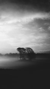 Preview wallpaper fog, dusk, landscape, bw, gloomy