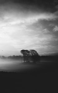 Preview wallpaper fog, dusk, landscape, bw, gloomy