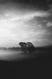 Preview wallpaper fog, dusk, landscape, bw, gloomy