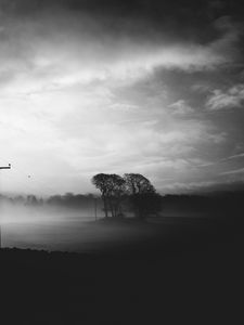 Preview wallpaper fog, dusk, landscape, bw, gloomy