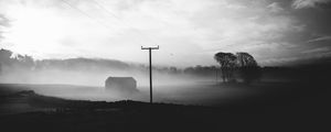 Preview wallpaper fog, dusk, landscape, bw, gloomy