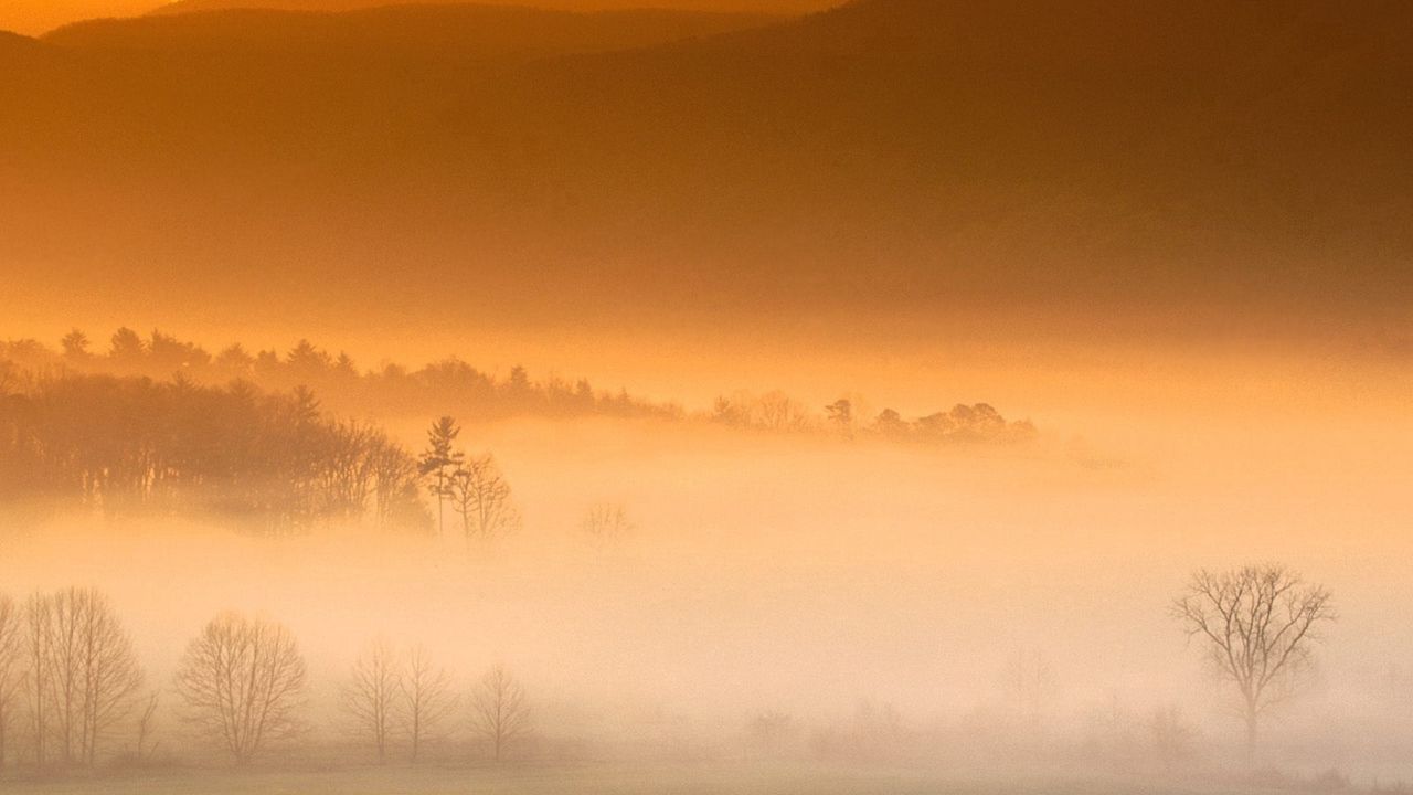 Wallpaper fog, field, mountain