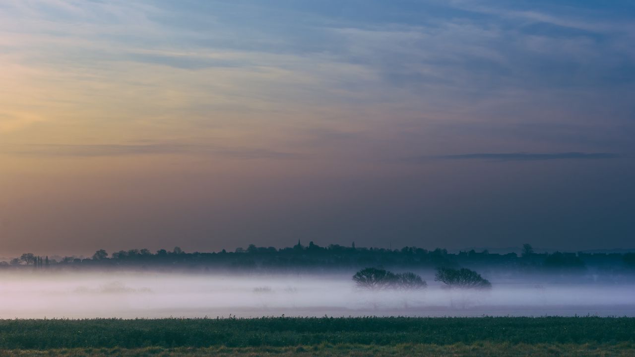 Wallpaper fog, field, sunrise, trees, sky