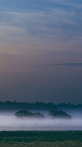 Preview wallpaper fog, field, sunrise, trees, sky