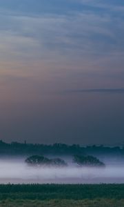 Preview wallpaper fog, field, sunrise, trees, sky