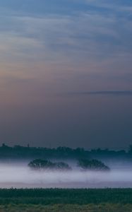 Preview wallpaper fog, field, sunrise, trees, sky
