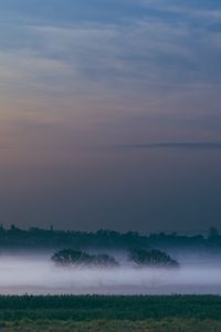 Preview wallpaper fog, field, sunrise, trees, sky