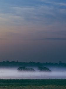 Preview wallpaper fog, field, sunrise, trees, sky