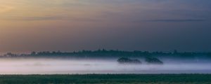 Preview wallpaper fog, field, sunrise, trees, sky