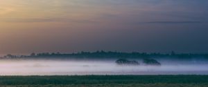 Preview wallpaper fog, field, sunrise, trees, sky