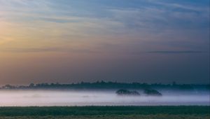 Preview wallpaper fog, field, sunrise, trees, sky