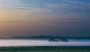 Preview wallpaper fog, field, sunrise, trees, sky