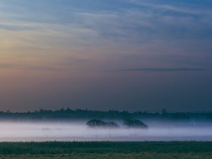 Preview wallpaper fog, field, sunrise, trees, sky