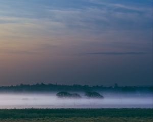 Preview wallpaper fog, field, sunrise, trees, sky