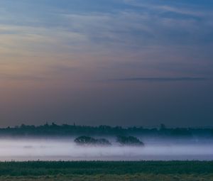 Preview wallpaper fog, field, sunrise, trees, sky