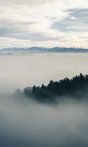 Preview wallpaper fog, forest, landscape, nature
