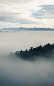 Preview wallpaper fog, forest, landscape, nature