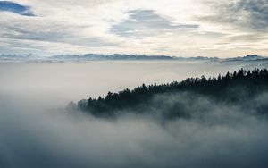 Preview wallpaper fog, forest, landscape, nature