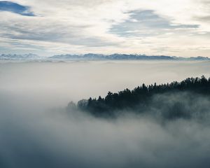 Preview wallpaper fog, forest, landscape, nature