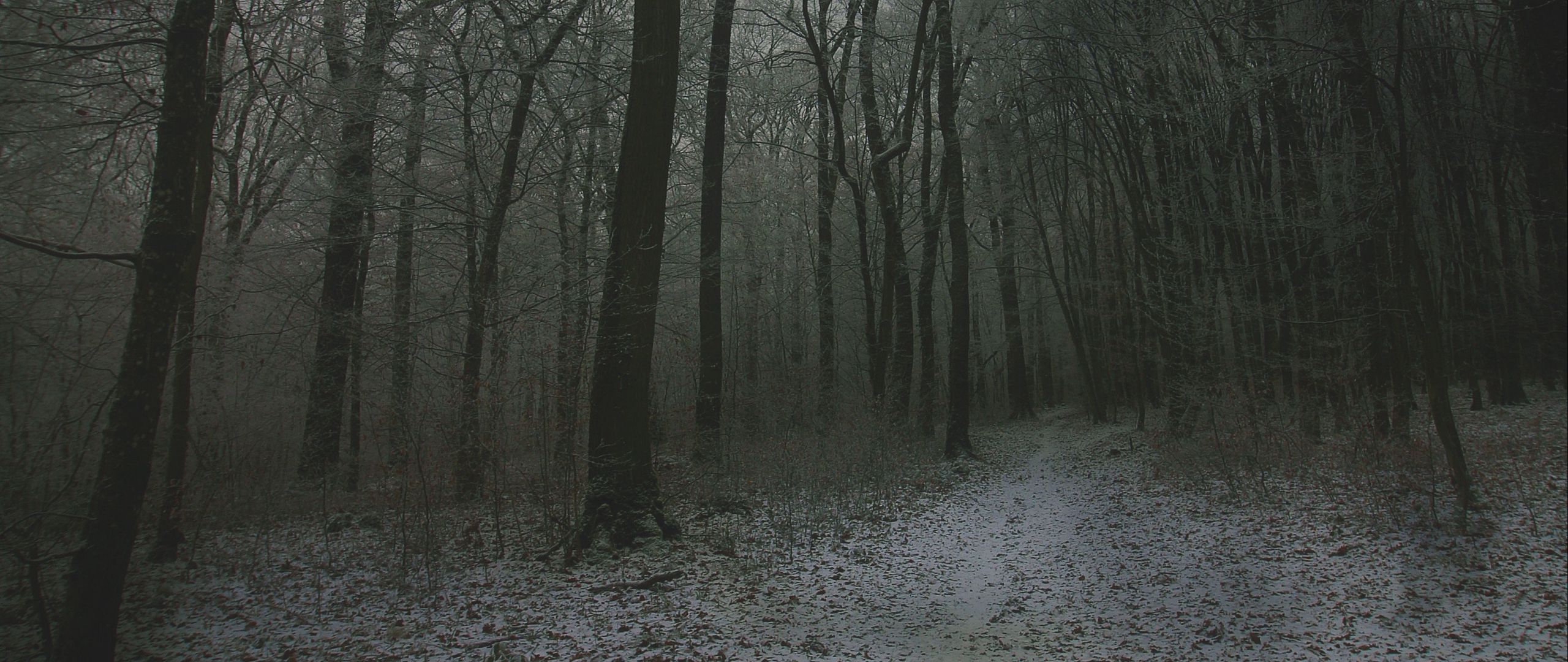 Download wallpaper 2560x1080 fog, forest, path, snow, autumn, winter ...