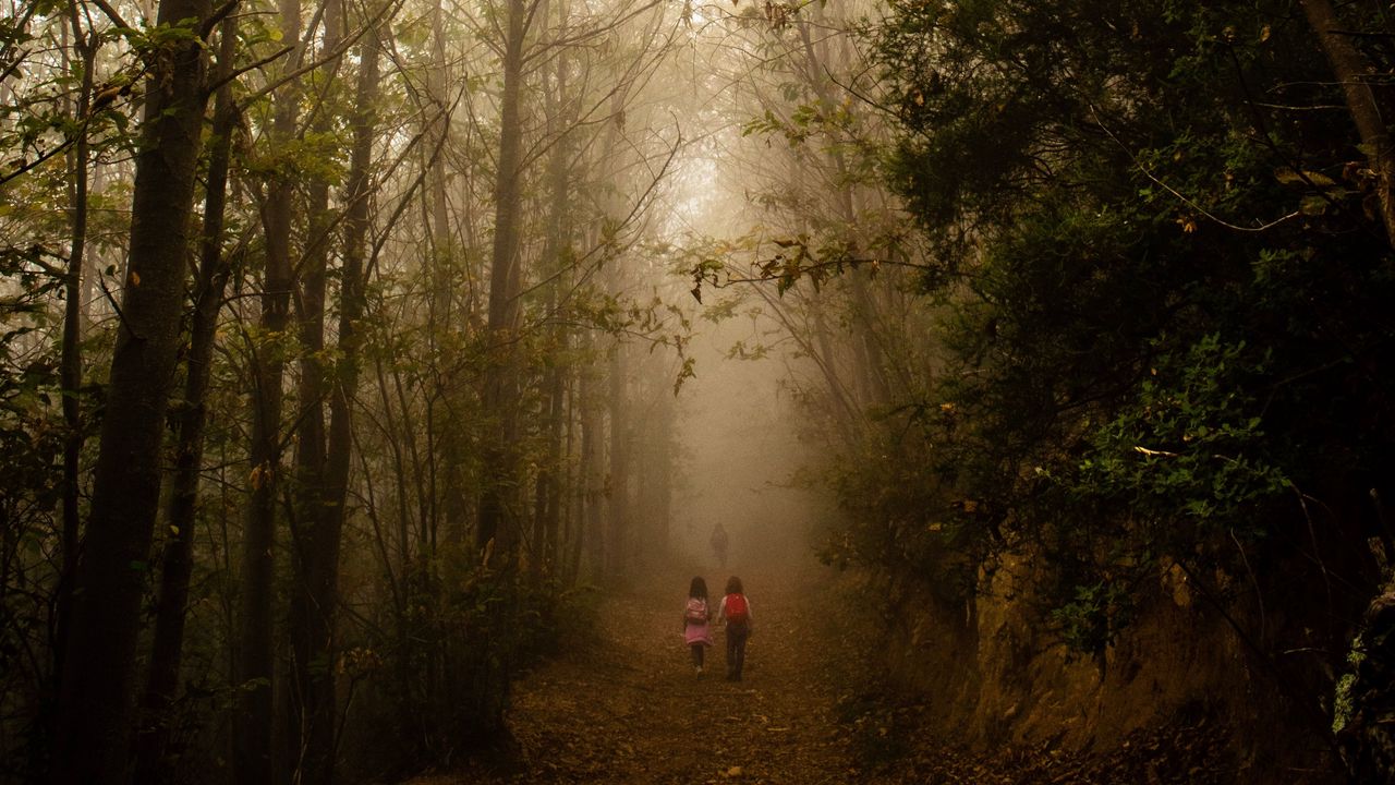 Wallpaper fog, forest, path, children, walk