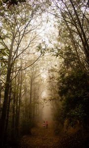 Preview wallpaper fog, forest, path, children, walk