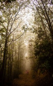 Preview wallpaper fog, forest, path, children, walk