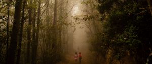 Preview wallpaper fog, forest, path, children, walk