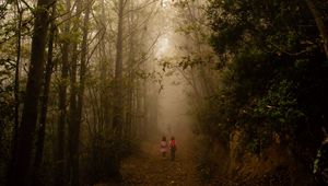 Preview wallpaper fog, forest, path, children, walk