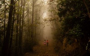 Preview wallpaper fog, forest, path, children, walk