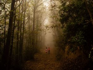 Preview wallpaper fog, forest, path, children, walk