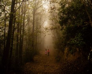 Preview wallpaper fog, forest, path, children, walk