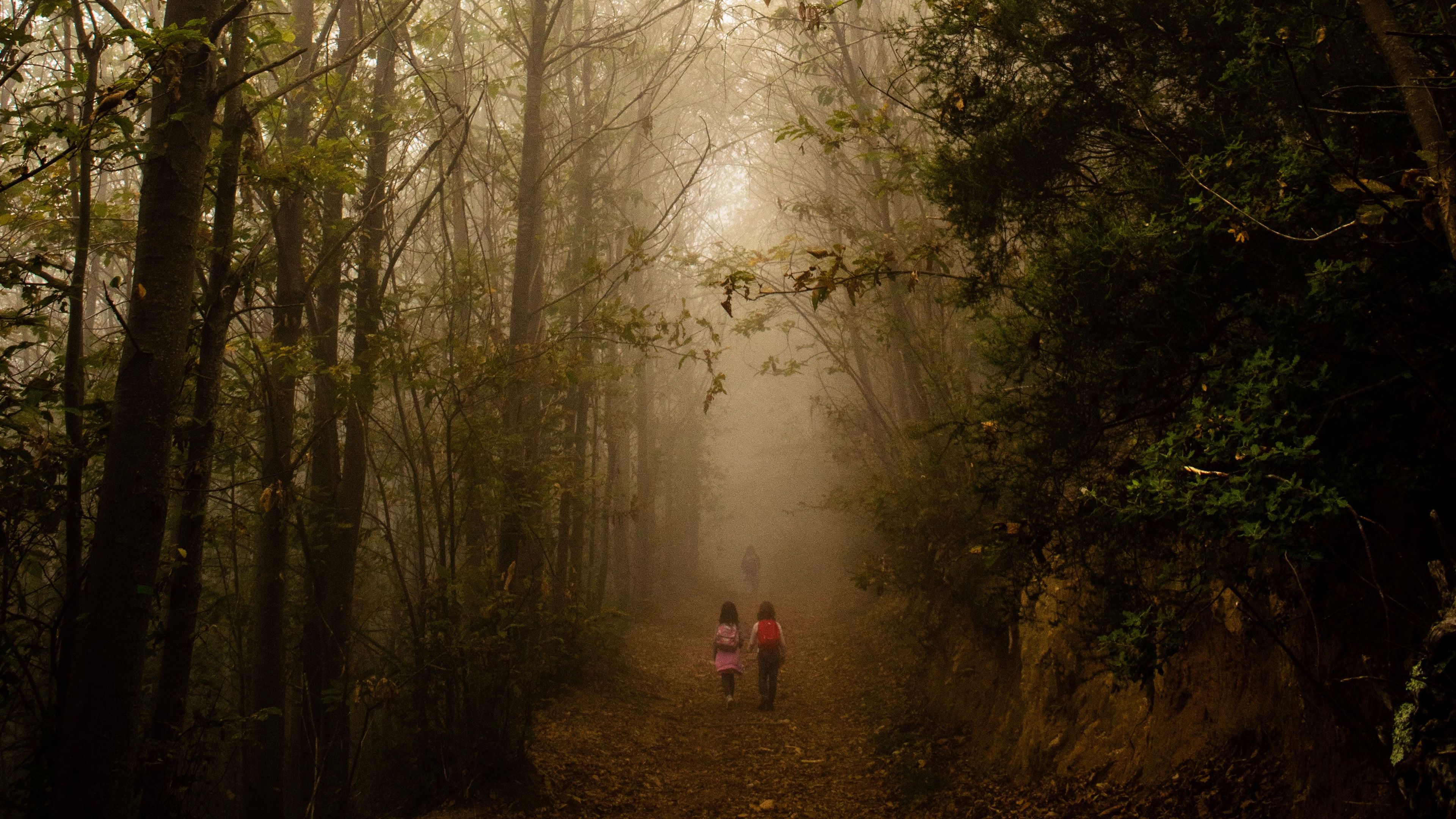 Download wallpaper 3840x2160 fog, forest, path, children, walk 4k uhd