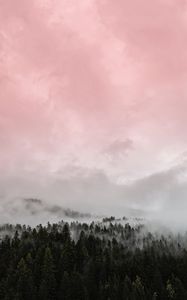 Preview wallpaper fog, forest, pink