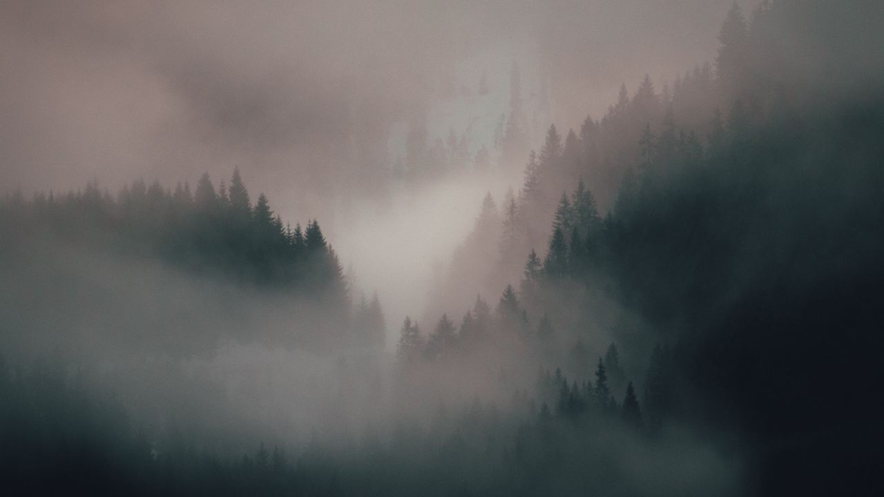 Wallpaper fog, forest, trees, hills