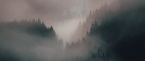 Preview wallpaper fog, forest, trees, hills