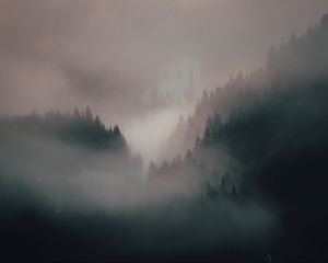 Preview wallpaper fog, forest, trees, hills