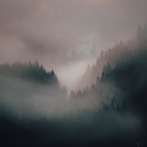 Preview wallpaper fog, forest, trees, hills