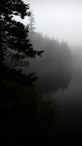 Preview wallpaper fog, forest, trees, shore