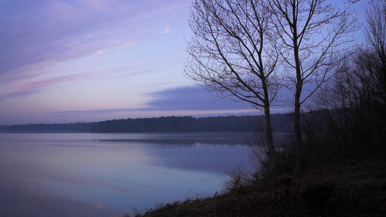 Wallpaper fog, freshness, morning, slope, tree, lake