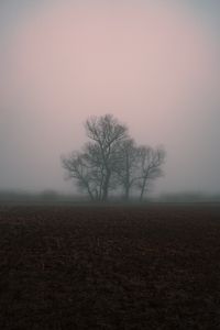 Preview wallpaper fog, gloomy, tree