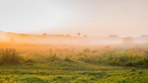 Preview wallpaper fog, grass trees, sky