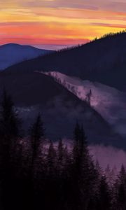 Preview wallpaper fog, hills, trees
