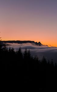 Preview wallpaper fog, horizon, sunset, forest, trees